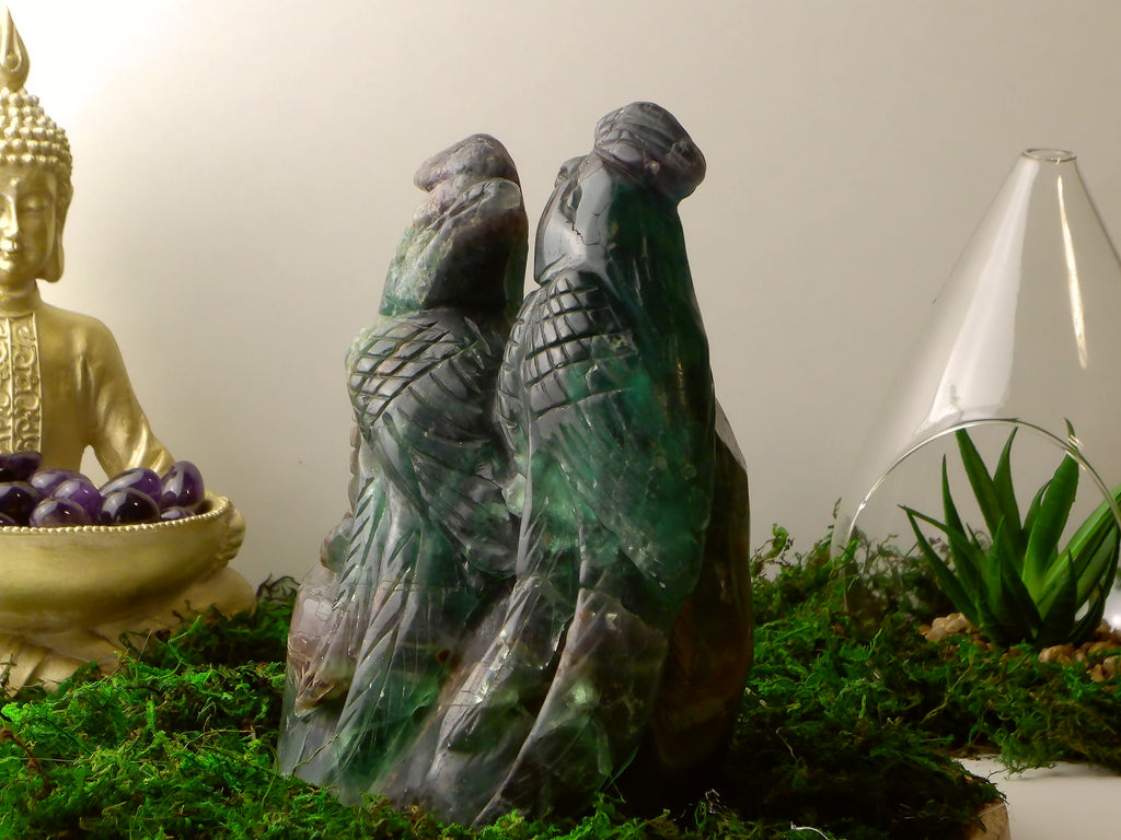 Kakadu Vogelpaar Fluorit