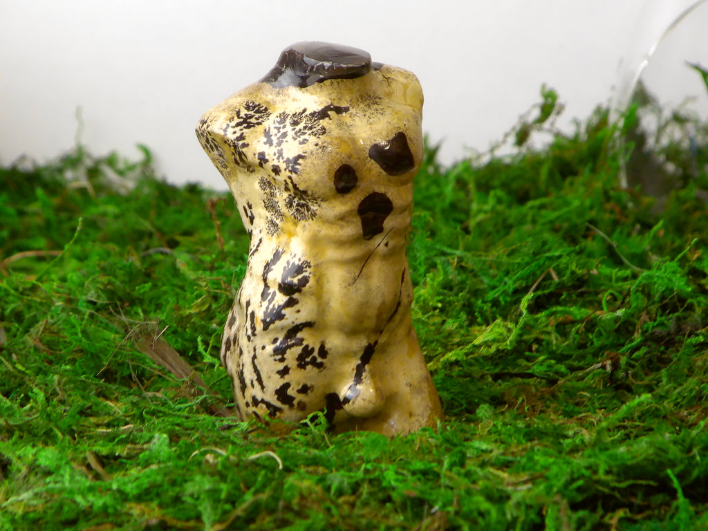 Landschaftsjaspis Body Mann