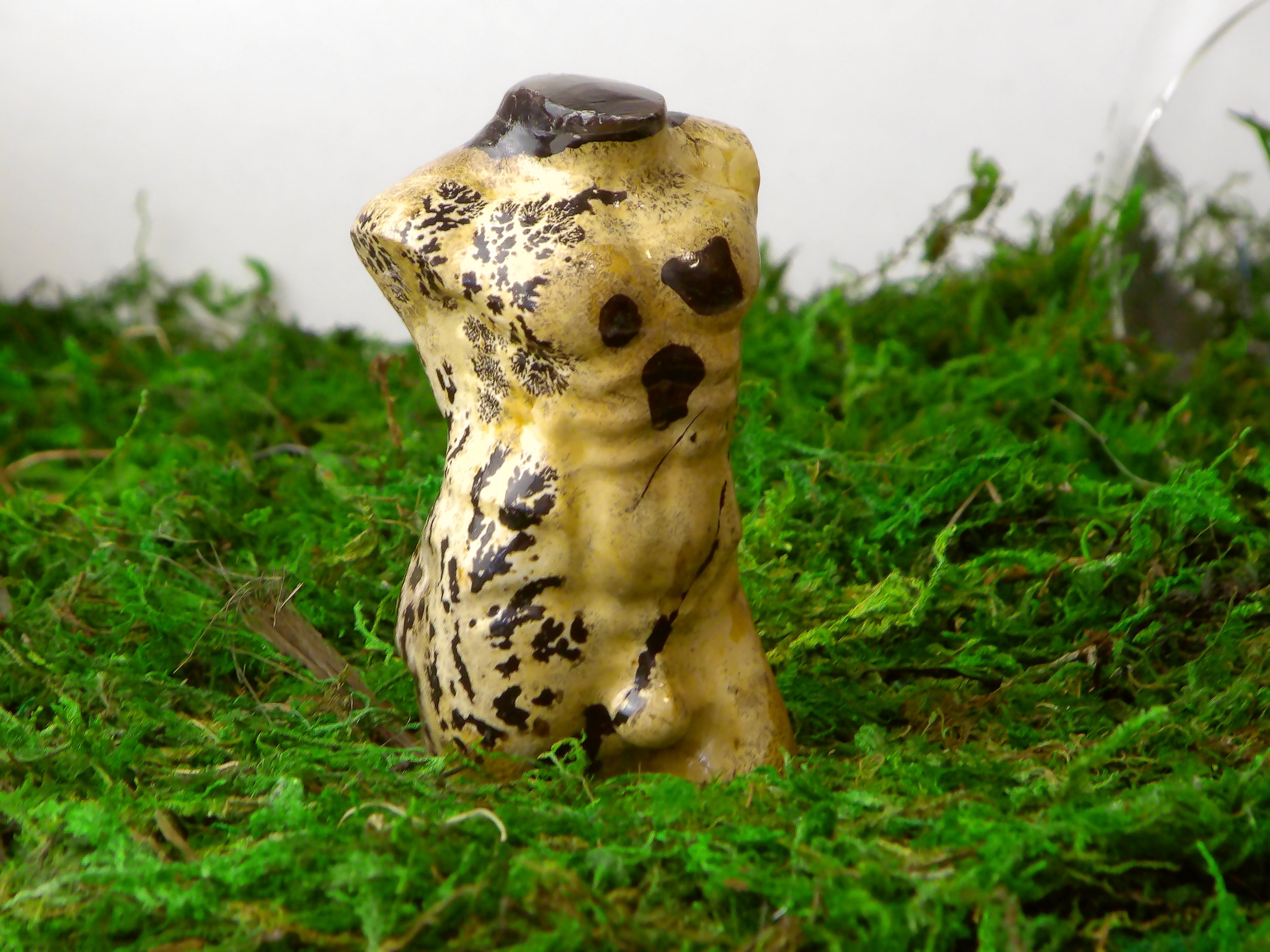 Landschaftsjaspis Body Mann