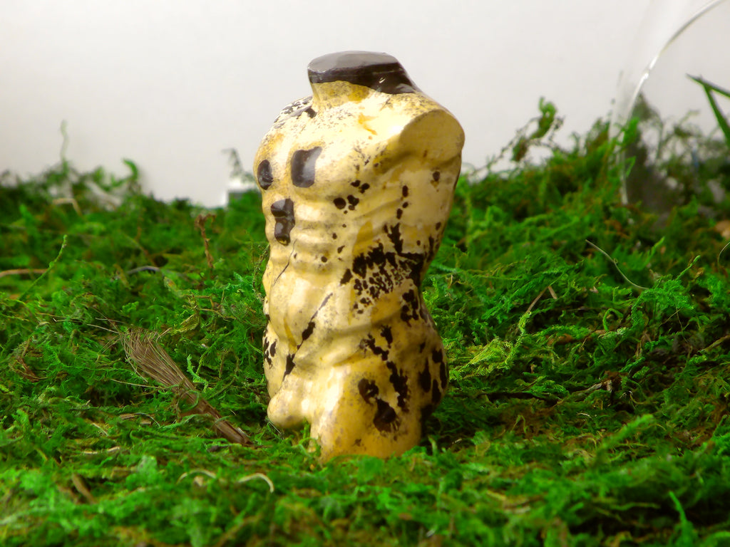 Landschaftsjaspis Body Mann