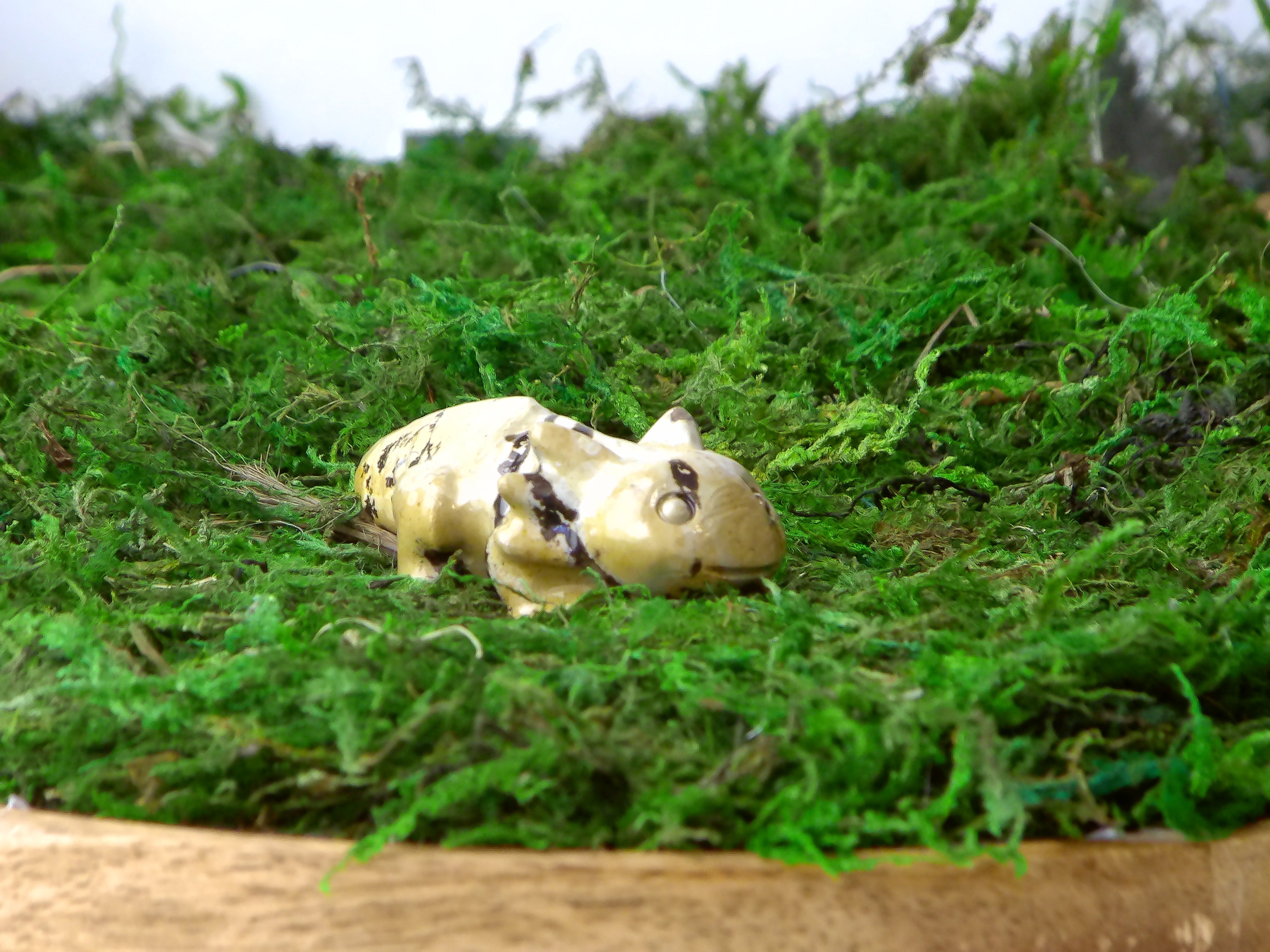 Axelottel landschaftsjaspis