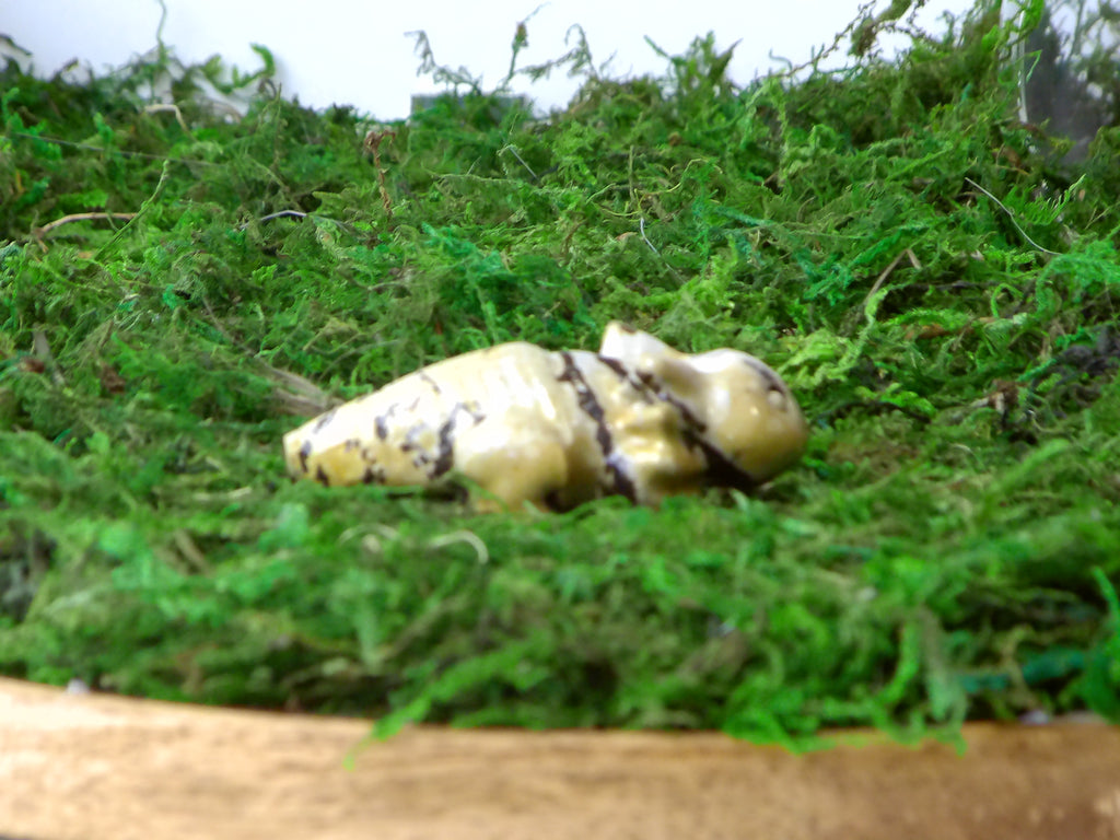 Axelottel landschaftsjaspis