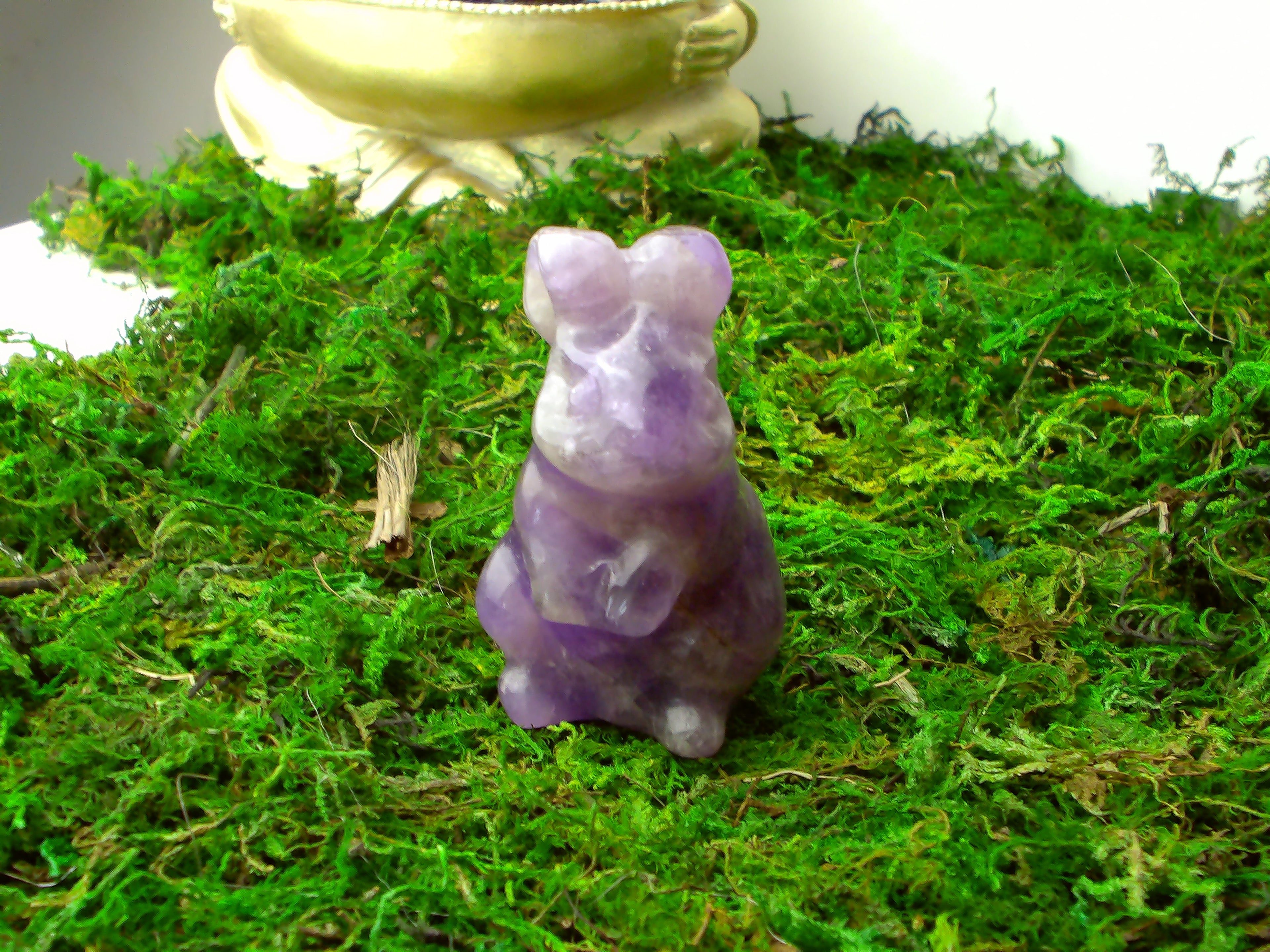 Amethyst Hase