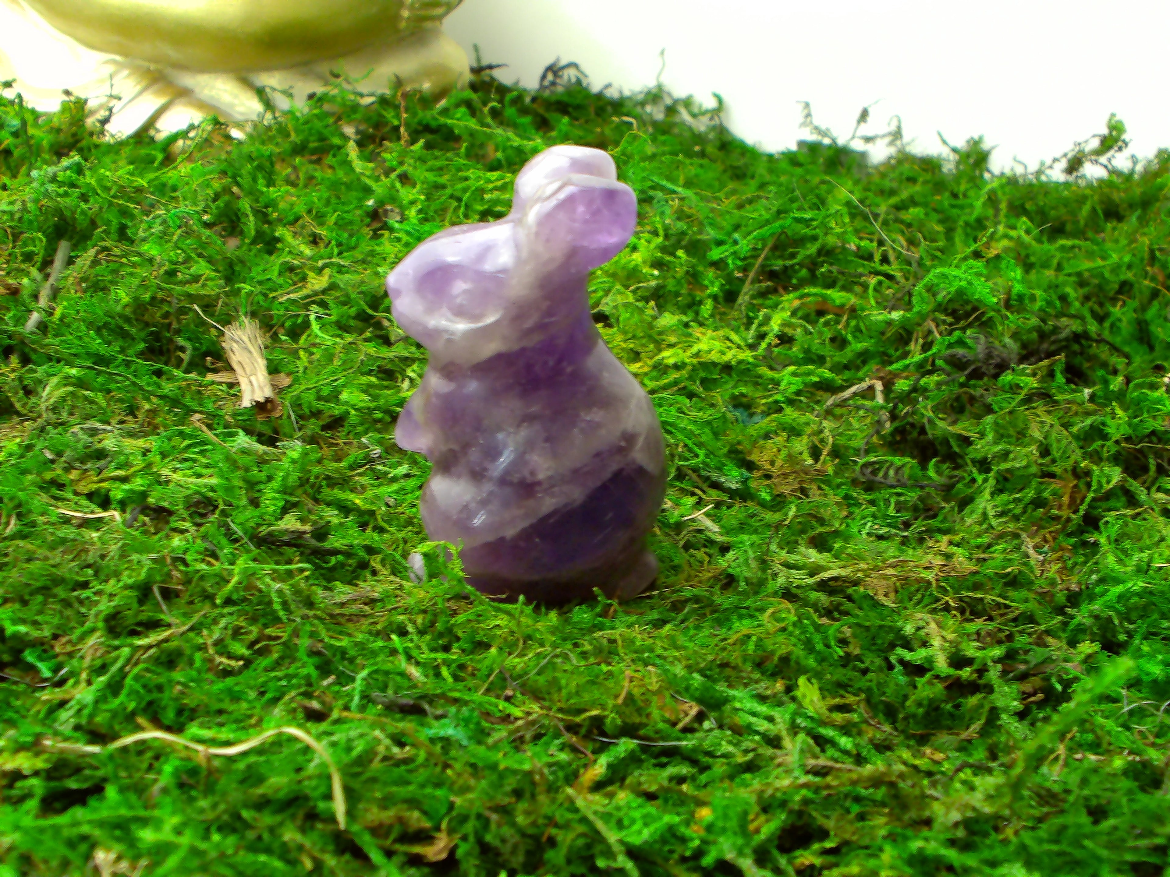 Amethyst Hase