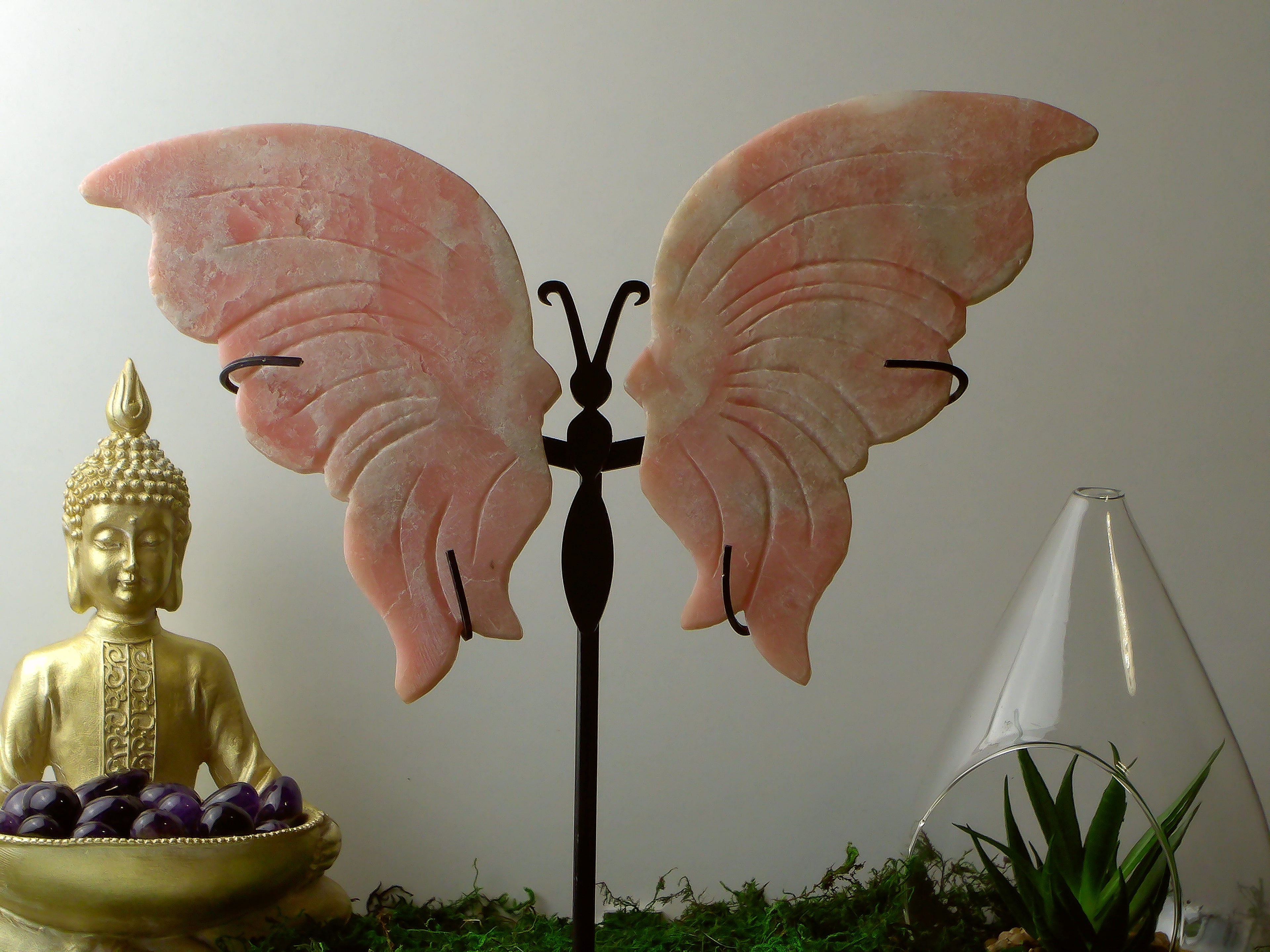 Pink Opal Schmetterling