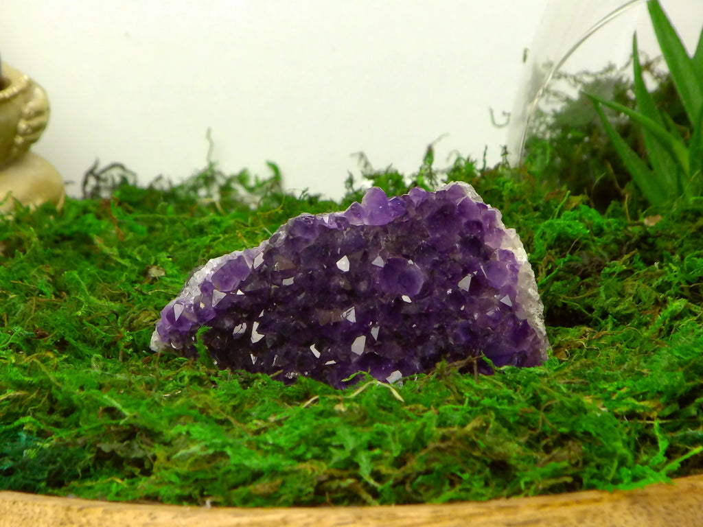 Amethyst aus Urugauy