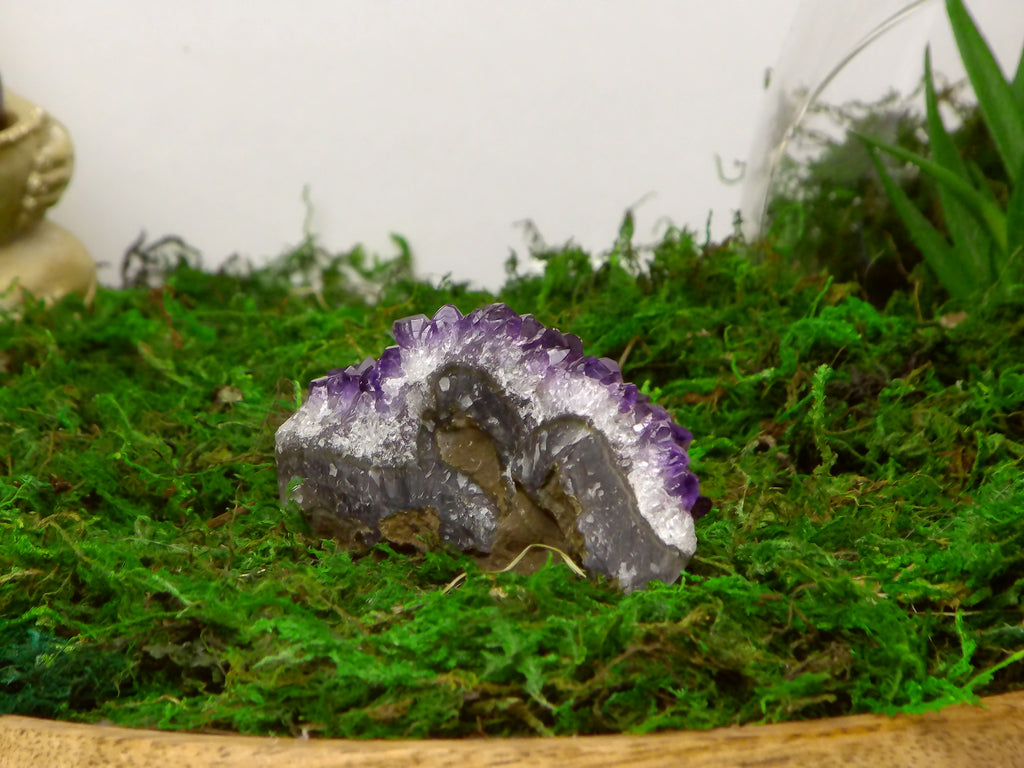 Amethyst aus Urugauy