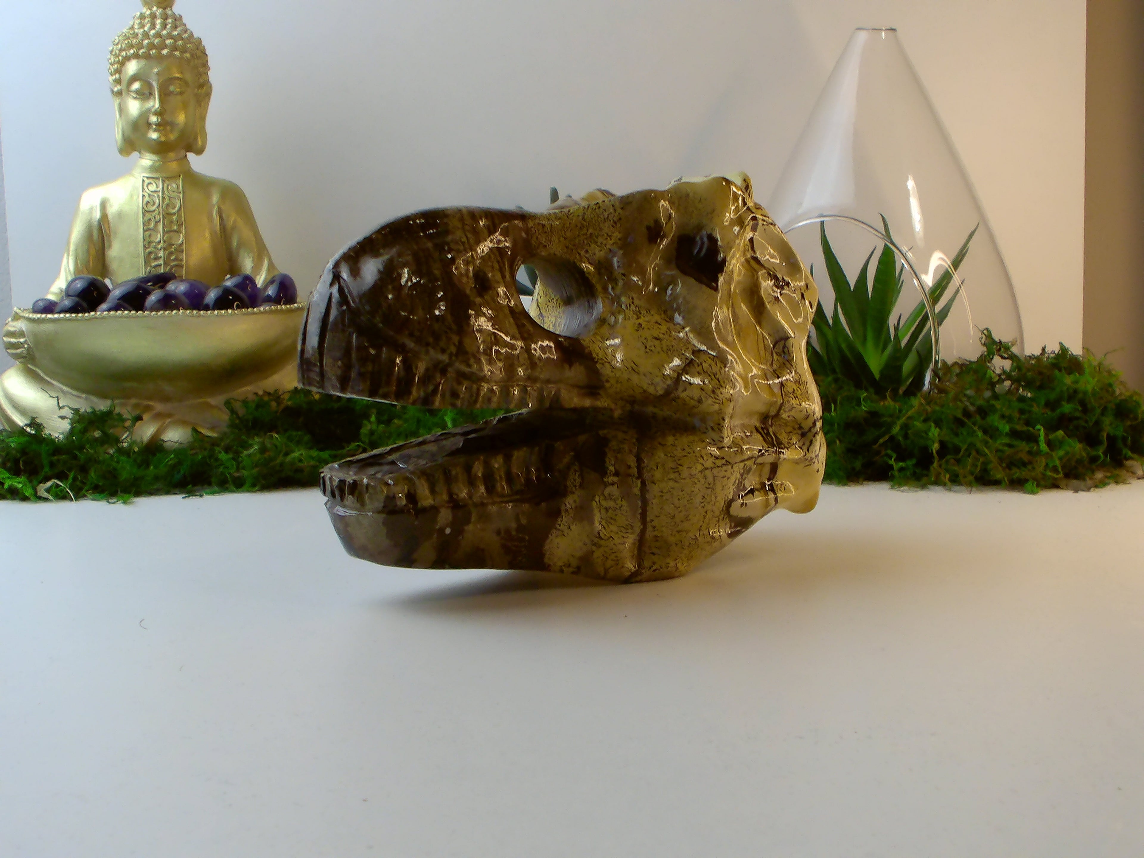 Landschaftsjaspis Dino Kopf