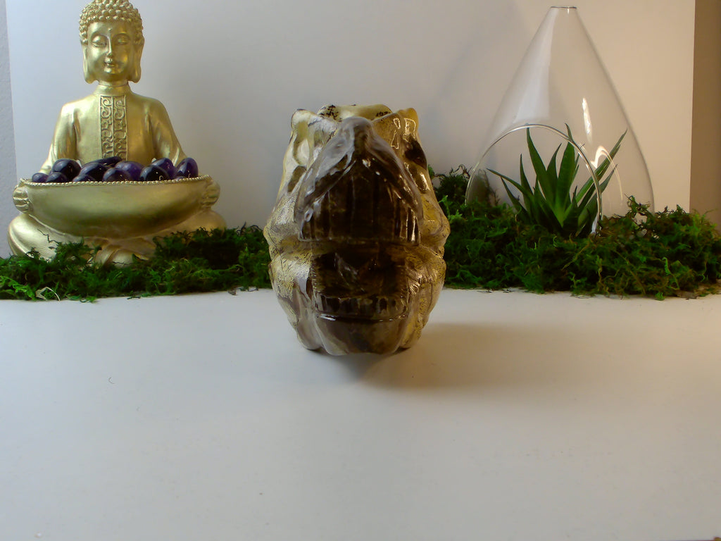 Landschaftsjaspis Dino Kopf