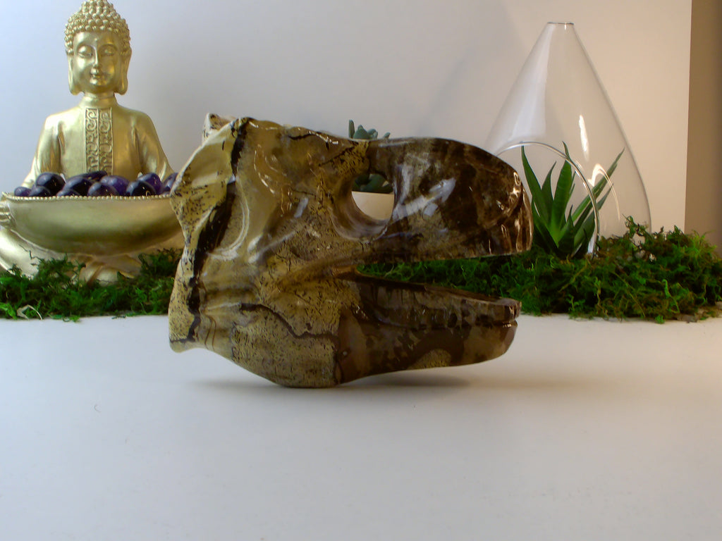 Landschaftsjaspis Dino Kopf