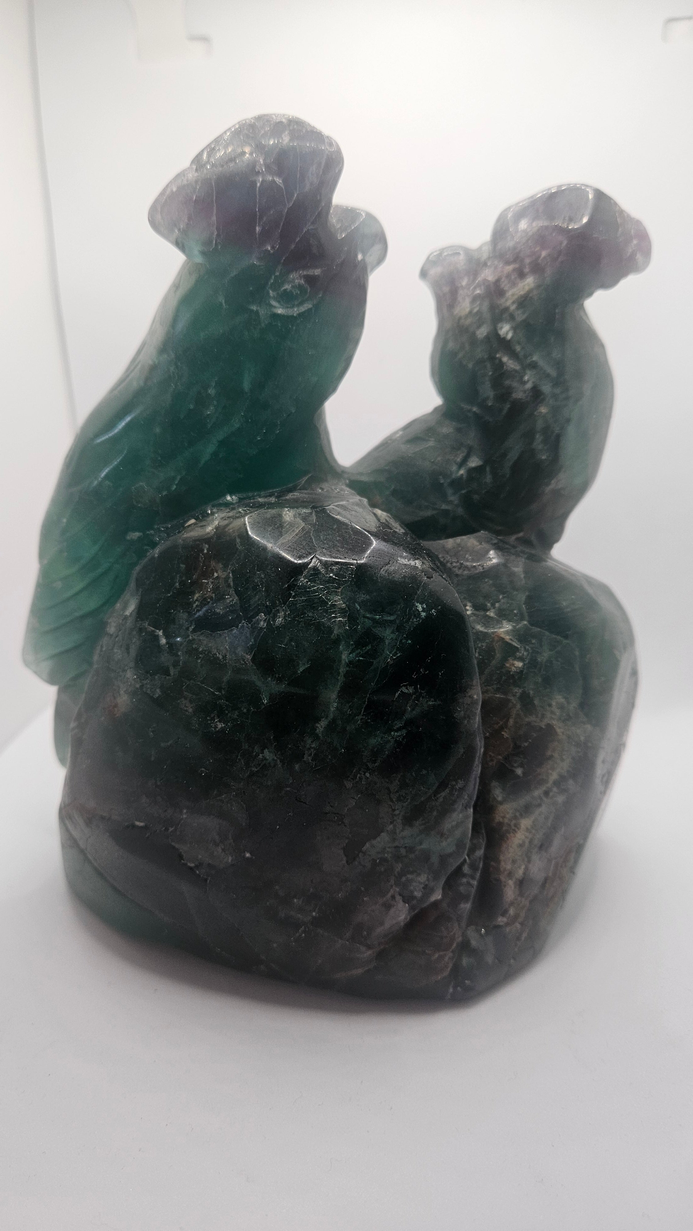 Kakadu Vogelpaar Fluorit