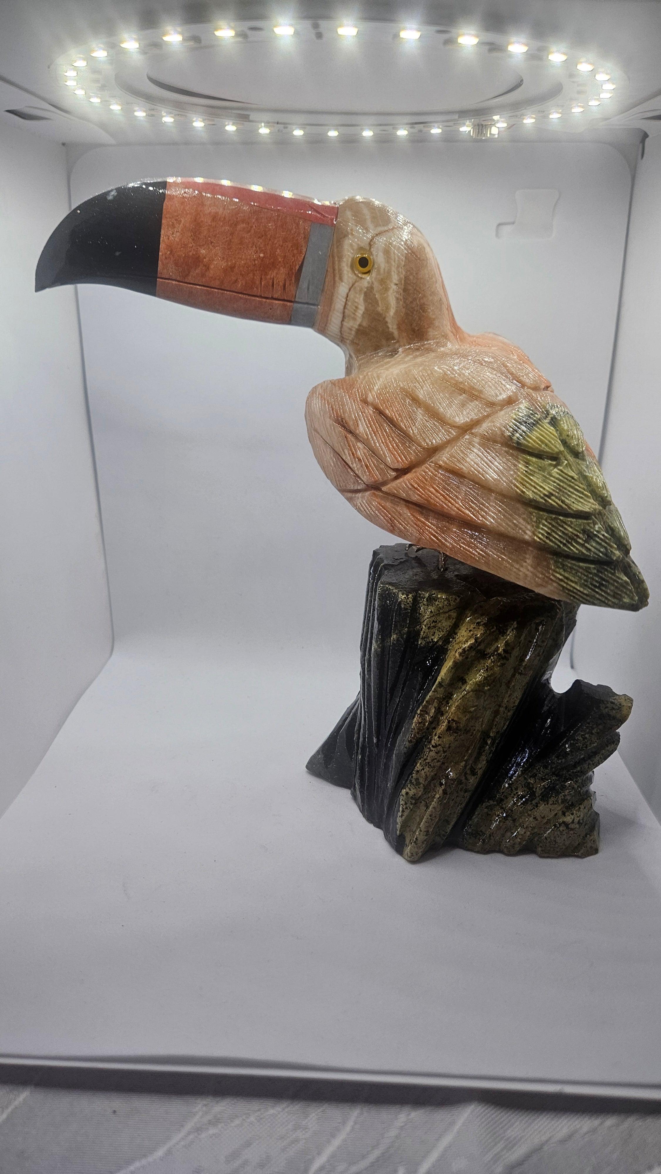 Tukan Speckstein