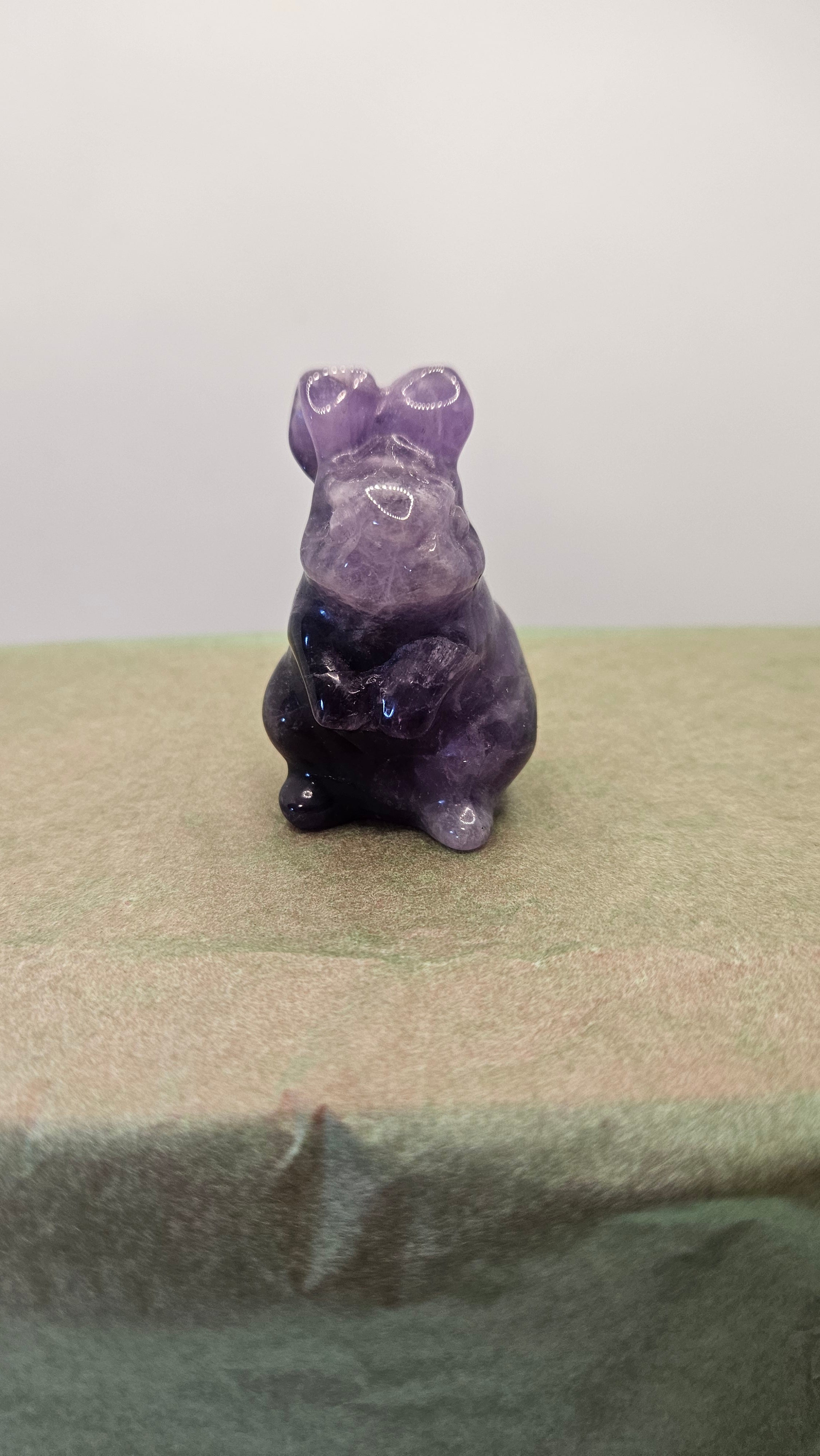 Amethyst Hase