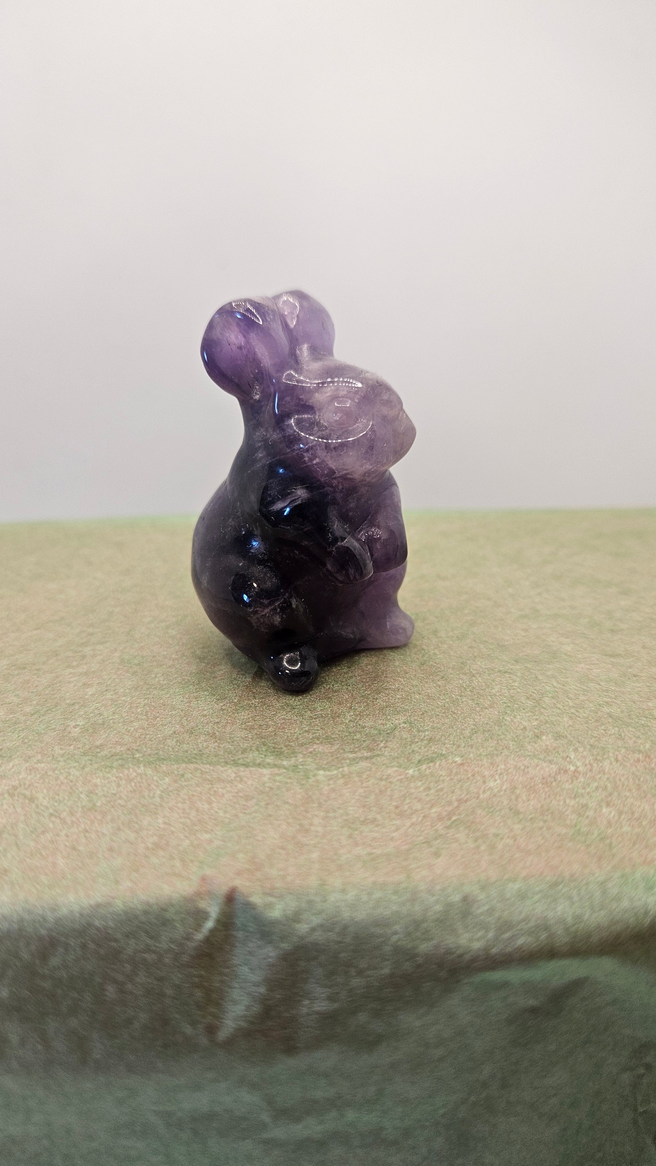 Amethyst Hase