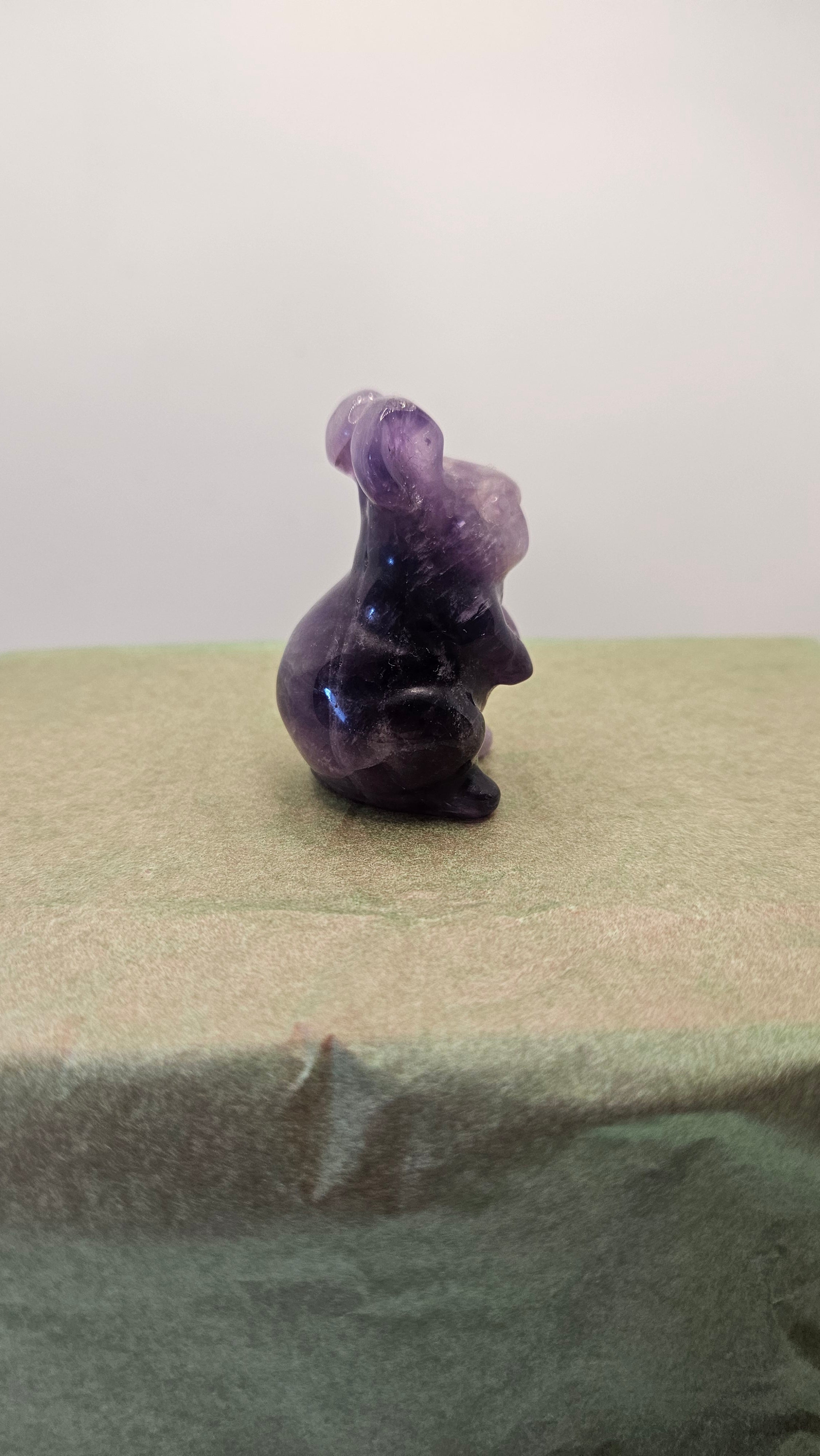 Amethyst Hase